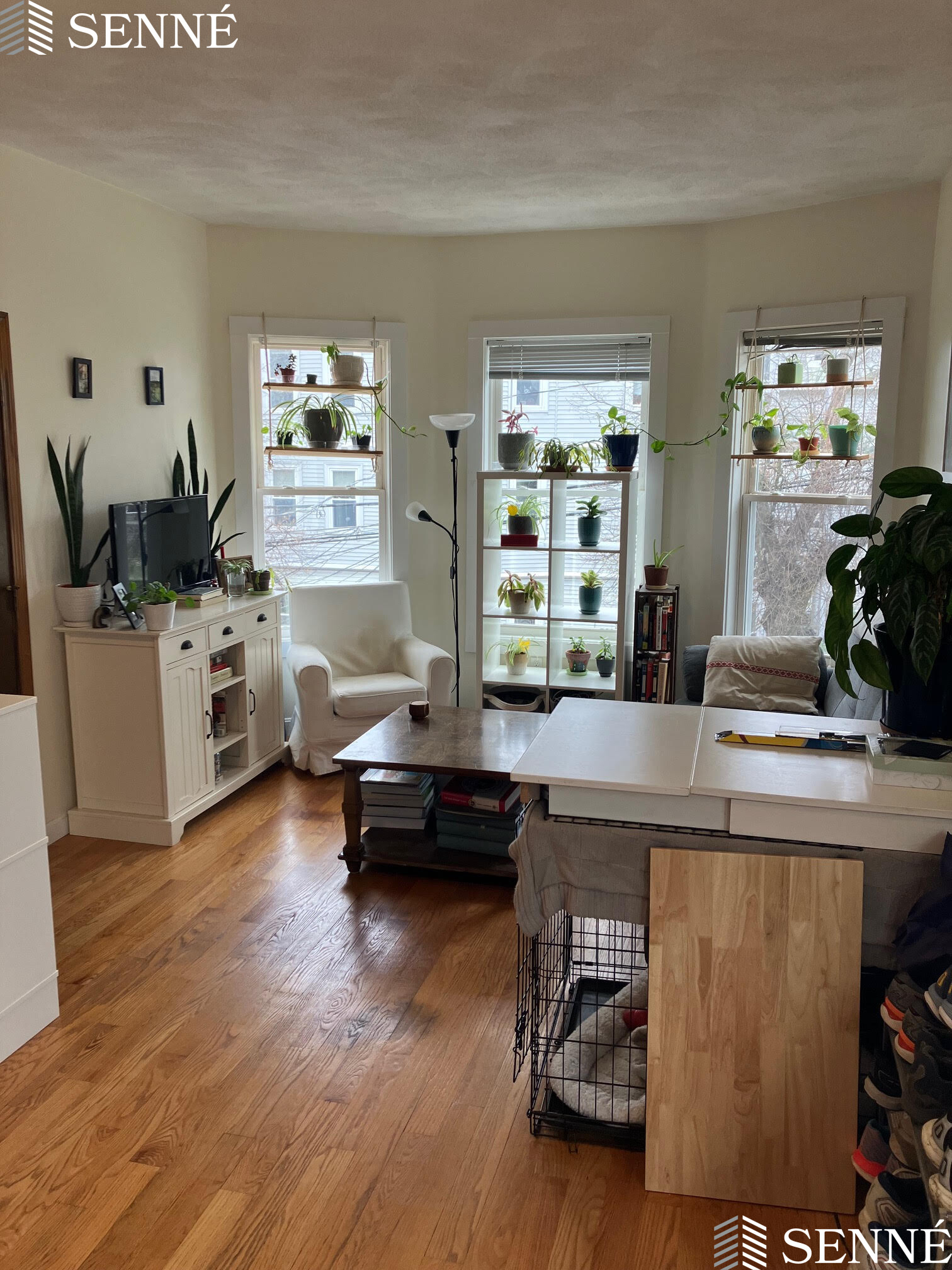 1 bed, 1 bath apartment for rent at 19 Linden Ave Unit 3, Spring Hill — photo 2 of 11