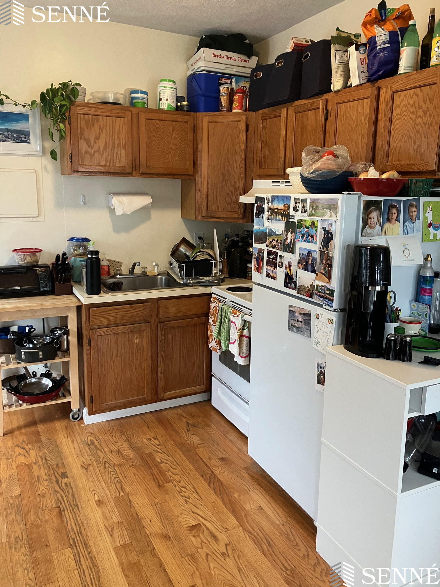 1 bed, 1 bath apartment for rent at 19 Linden Ave Unit 3, Spring Hill — photo 3 of 11
