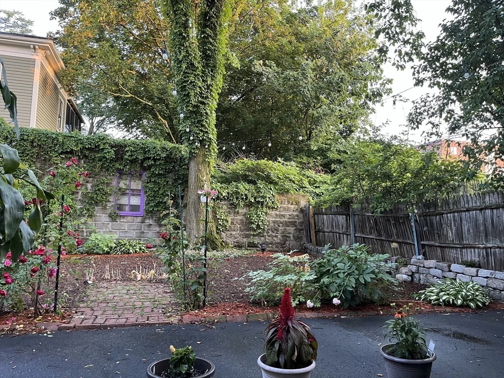 2 bed, 1 bath apartment for rent at 19 Marshall St Unit 1, Winter Hill — photo 21 of 24