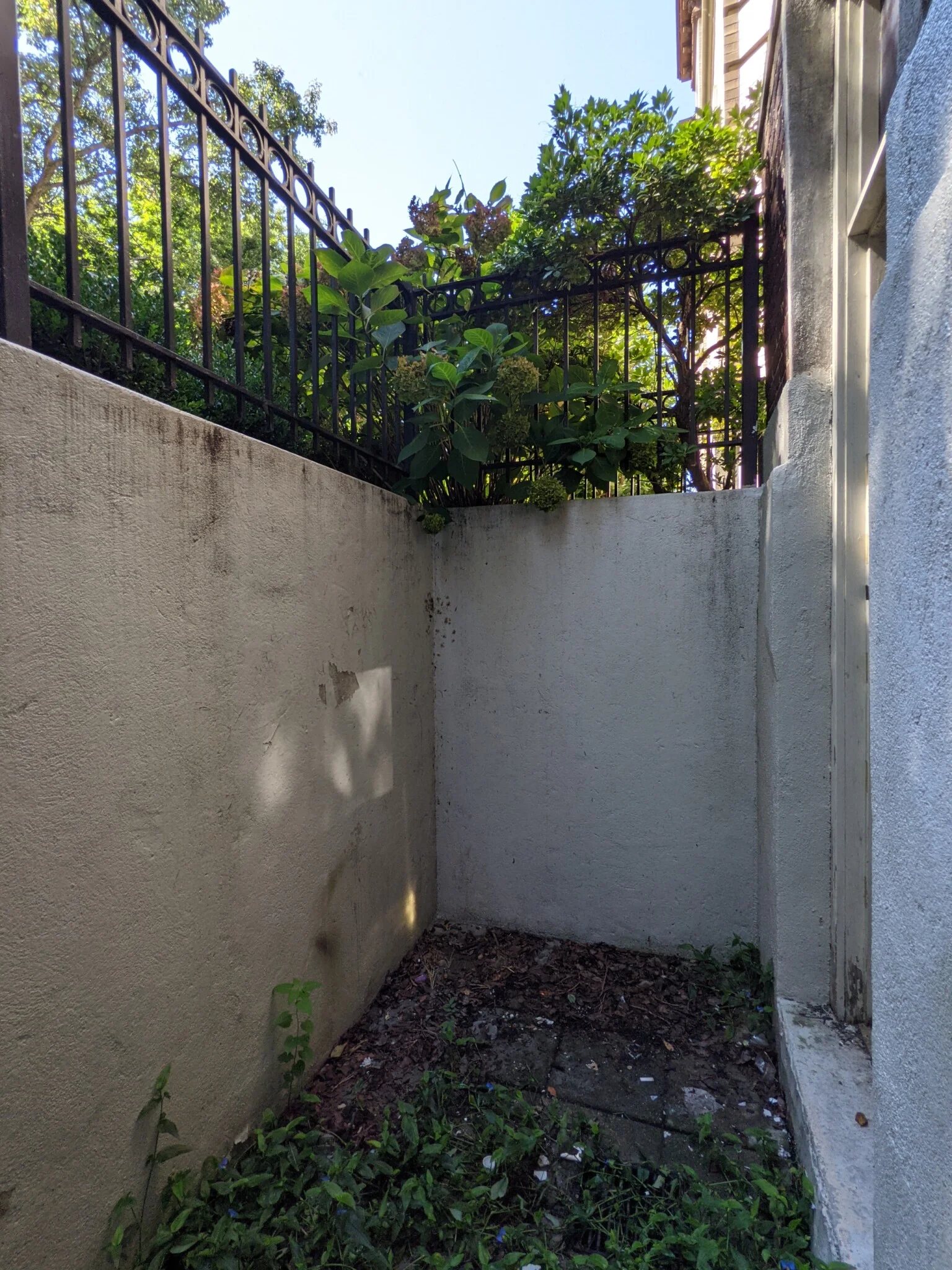 1 bed, 1 bath apartment for rent at 19 Queensberry St Unit B, Fenway — photo 11 of 13