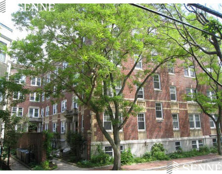 1 bed, 1 bath apartment for rent at 19 Shepard St Unit D, Neighborhood Nine — photo 6 of 6