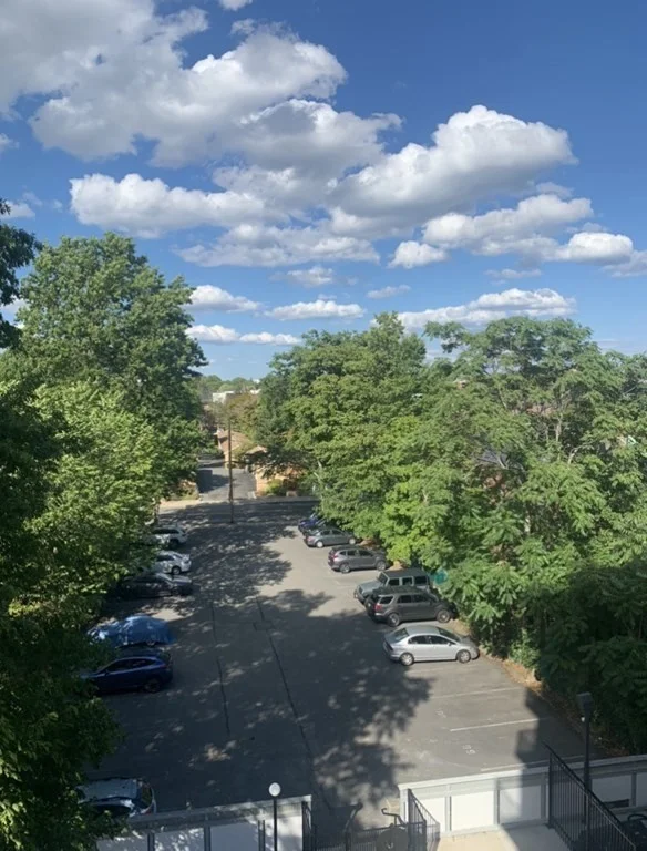 1 bed, 1 bath apartment for rent at 19 Winchester St Unit 502, Coolidge Corner — photo 3 of 13