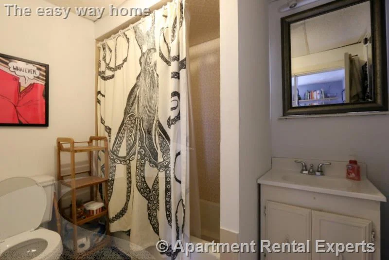 2 bed, 1 bath apartment for rent at 190-192 Holland St Unit 2, Teele Square — photo 7 of 17
