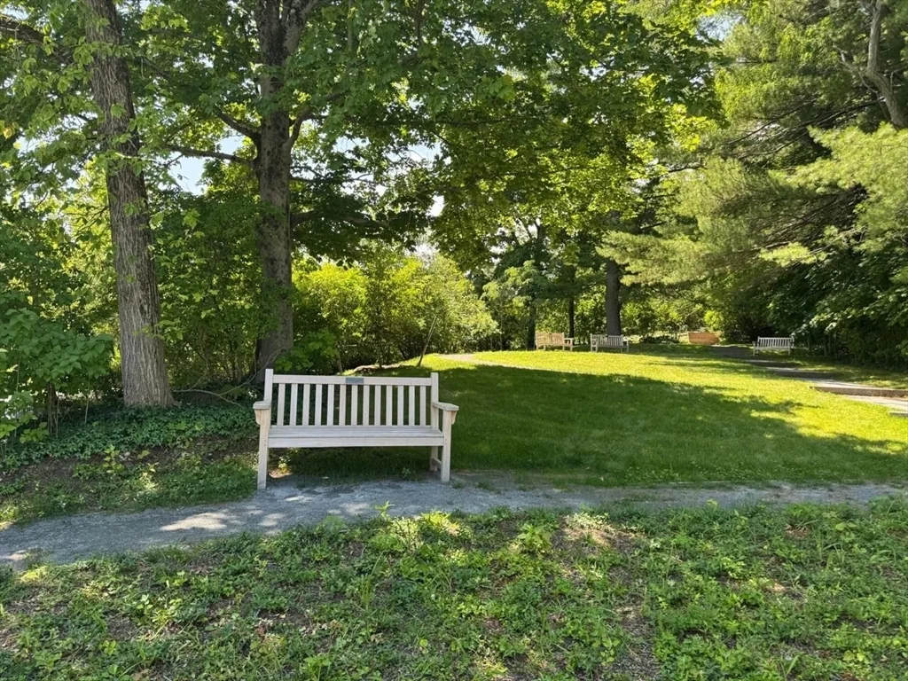 3 bed, 1 bath apartment for rent at 1900 Massachusettsave, Lexington — photo 12 of 15