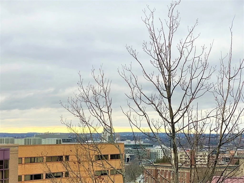 1 bed, 1 bath apartment for rent at 191 Washington St Unit 503, Brighton — photo 6 of 20