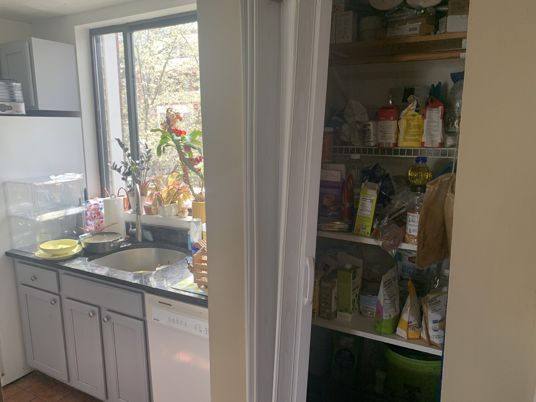 2 bed, 1 bath apartment for rent at 192 Allston St Unit 2, Brighton — photo 2 of 9
