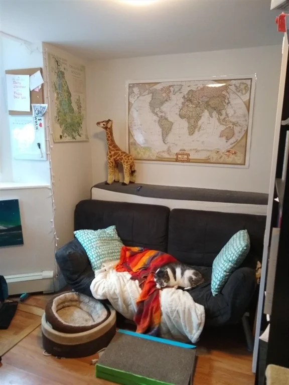 2 bed, 1 bath apartment for rent at 192 Central St Unit B, Magoun Square — photo 13 of 17