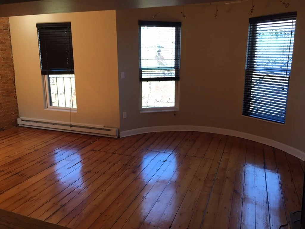 1 bed, 1 bath apartment for rent at 192 West Brookline St Unit 4, South End — photo 3 of 9