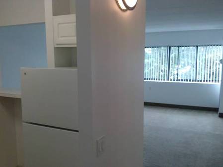 1 bed, 1 bath apartment for rent at 1925 Commonwealth Ave, Brighton — photo 4 of 12