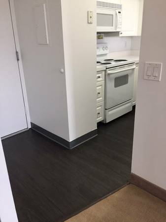 1 bed, 1 bath apartment for rent at 1925 Commonwealth Ave, Brighton — photo 11 of 12