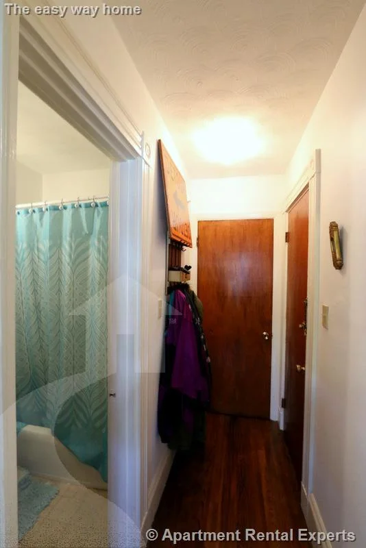 Studio bed, 1 bath apartment for rent at 193 Concord Ave Unit 7, Harvard Square — photo 5 of 9