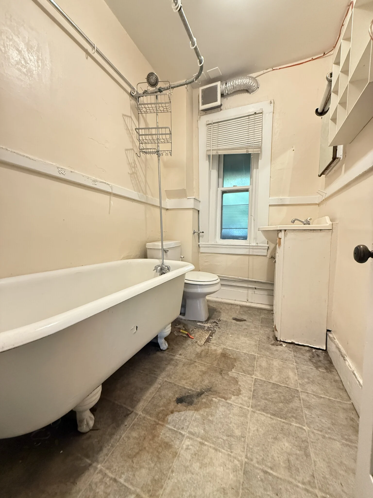 2 bed, 1 bath apartment for rent at 193 Mount Auburn St Unit 3, West Cambridge — photo 5 of 5