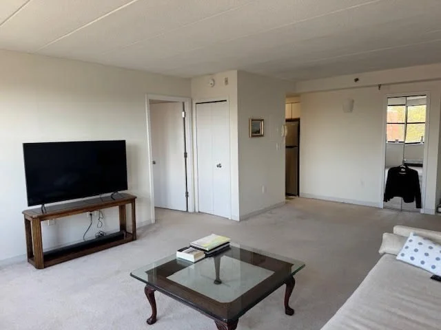 1 bed, 1 bath apartment for rent at 1933 Commonwealth Ave Unit 604, Brighton — photo 4 of 18