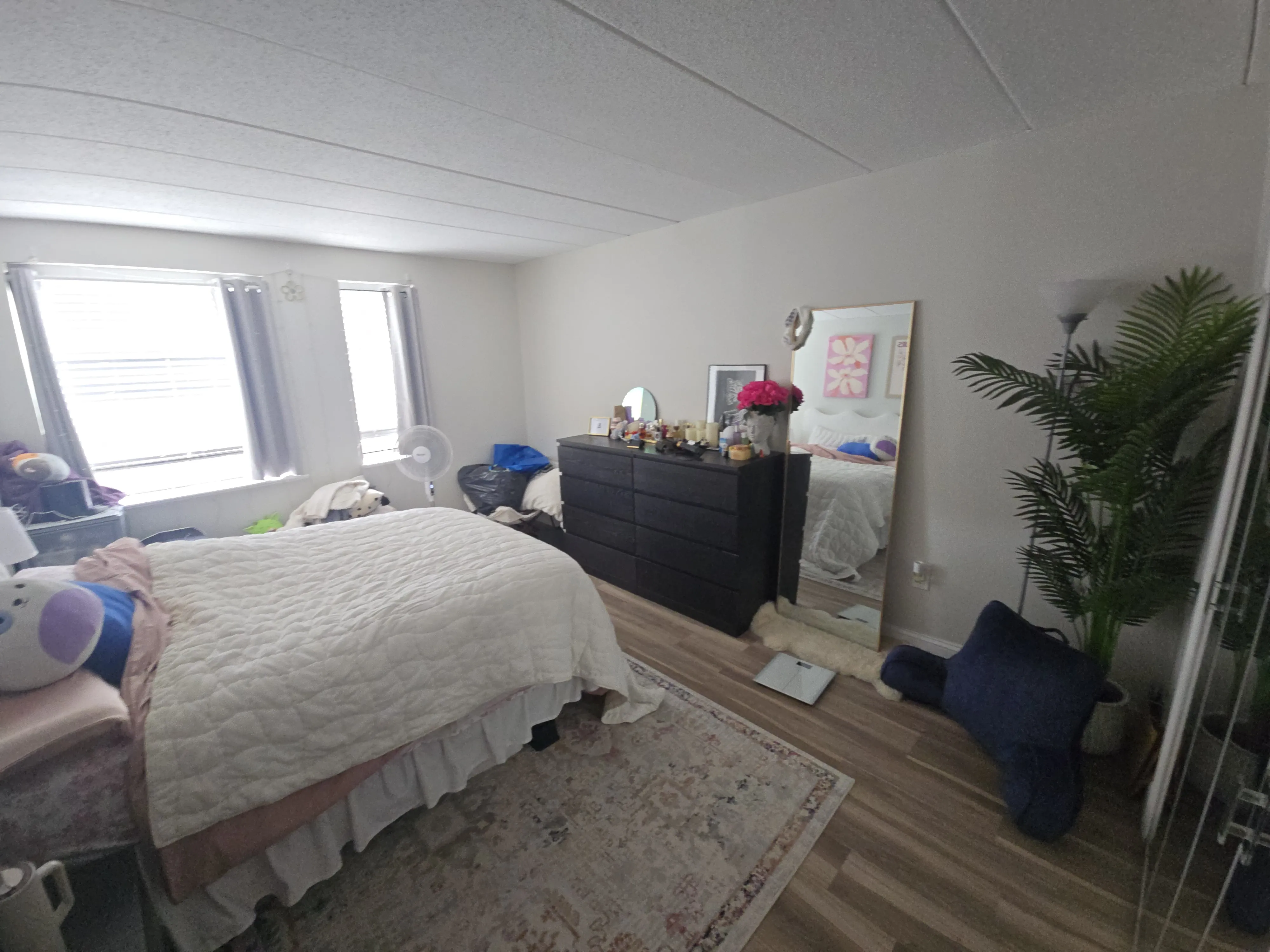 1 bed, 1 bath apartment for rent at 1933 Commonwealth Ave Unit 610, Brighton — photo 12 of 29