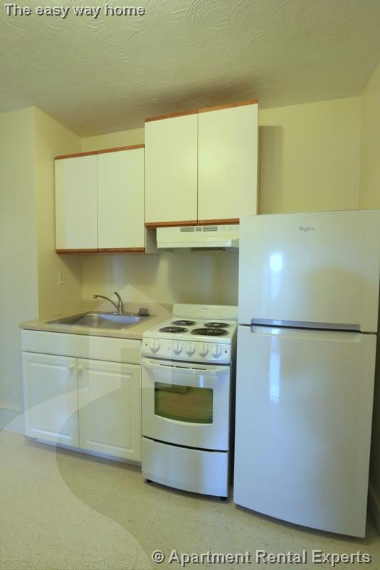 1 bed, 1 bath apartment for rent at 195 Concord Ave Unit 12, Huron Village — photo 8 of 13
