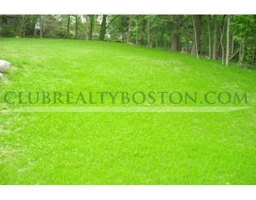 4 bed, 2 bath apartment for rent at 195 Forest Unit 195, Arlington — photo 5 of 21