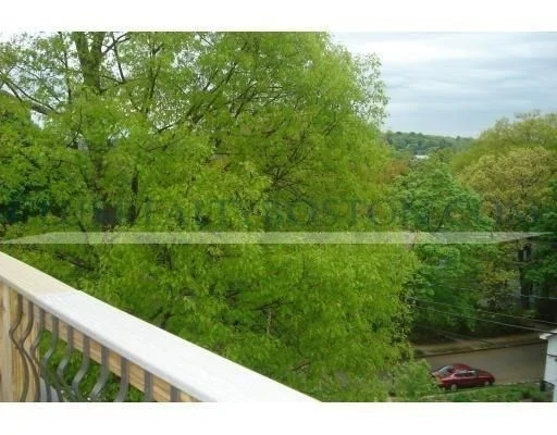 4 bed, 2 bath apartment for rent at 195 Forest Unit 195, Arlington — photo 4 of 21