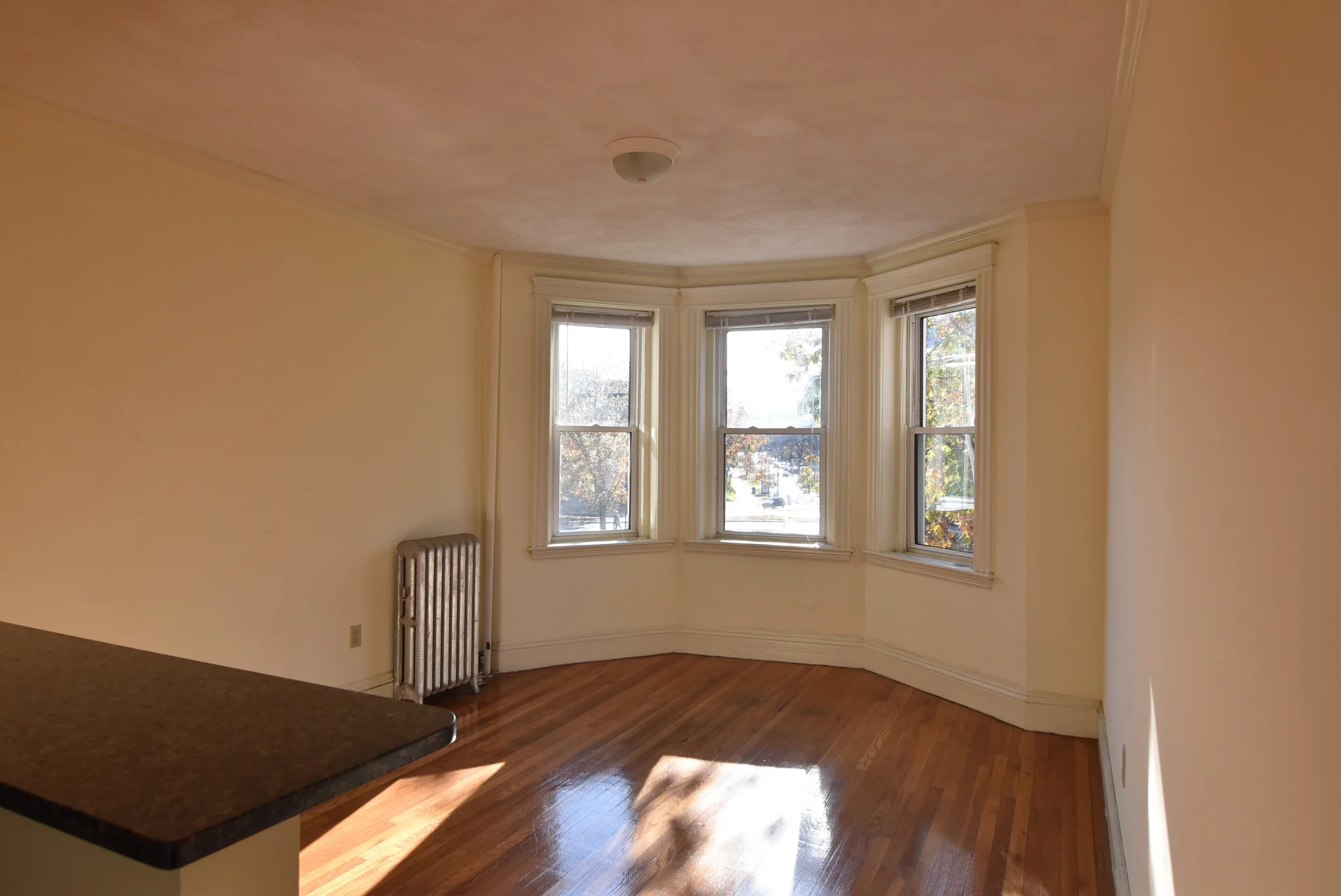 1 bed, 1 bath apartment for rent at 195 Park Dr Unit 21, Fenway