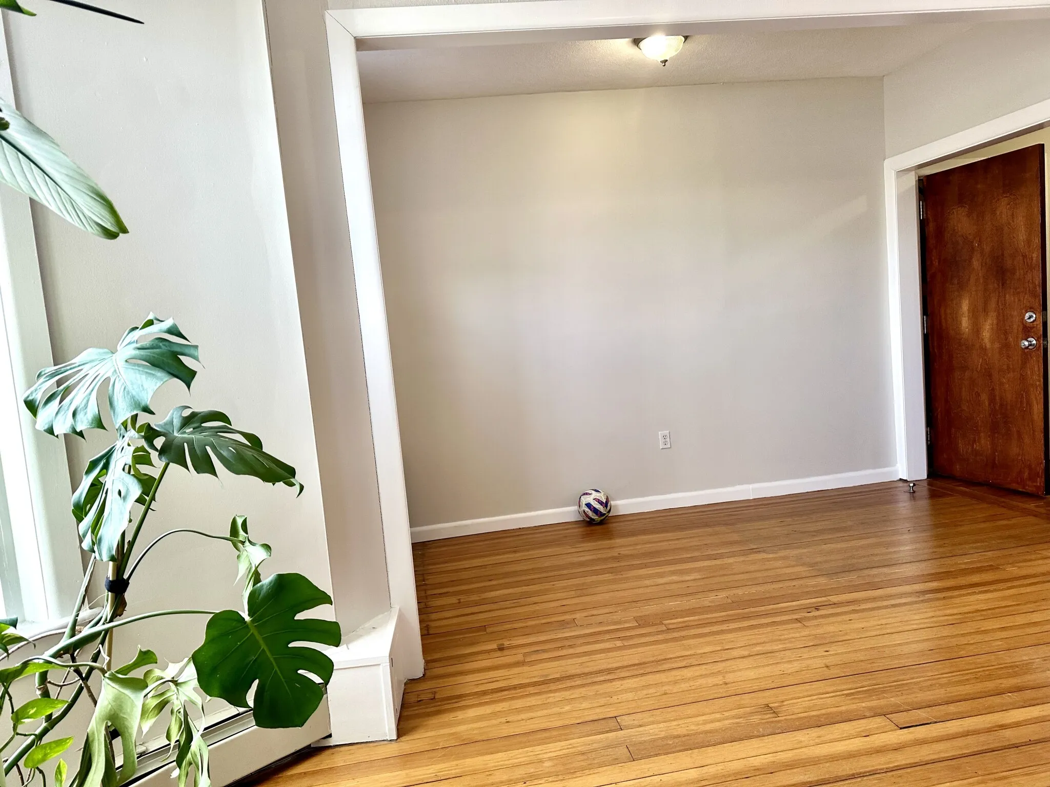 2 bed, 1.5 bath apartment for rent at 1950 Beacon St Unit 1, Brighton — photo 17 of 31