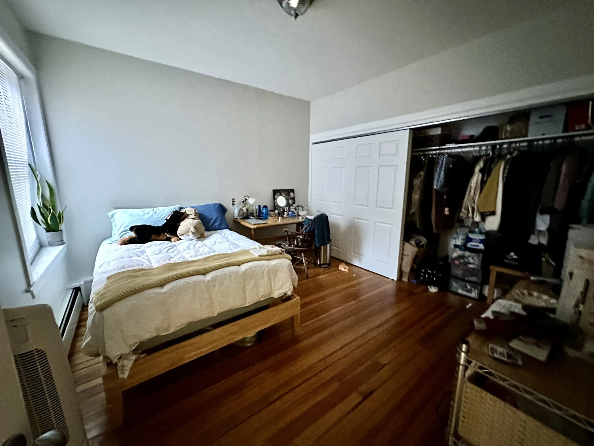2 bed, 1.5 bath apartment for rent at 1950 Beacon St Unit 1, Brighton — photo 19 of 31