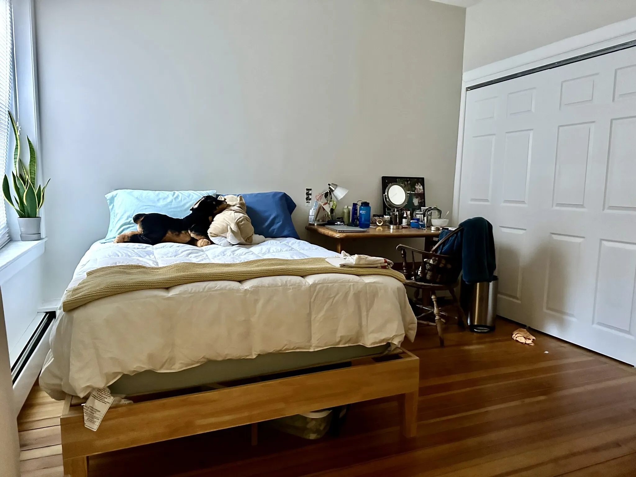 2 bed, 1.5 bath apartment for rent at 1950 Beacon St Unit 1, Brighton — photo 20 of 31