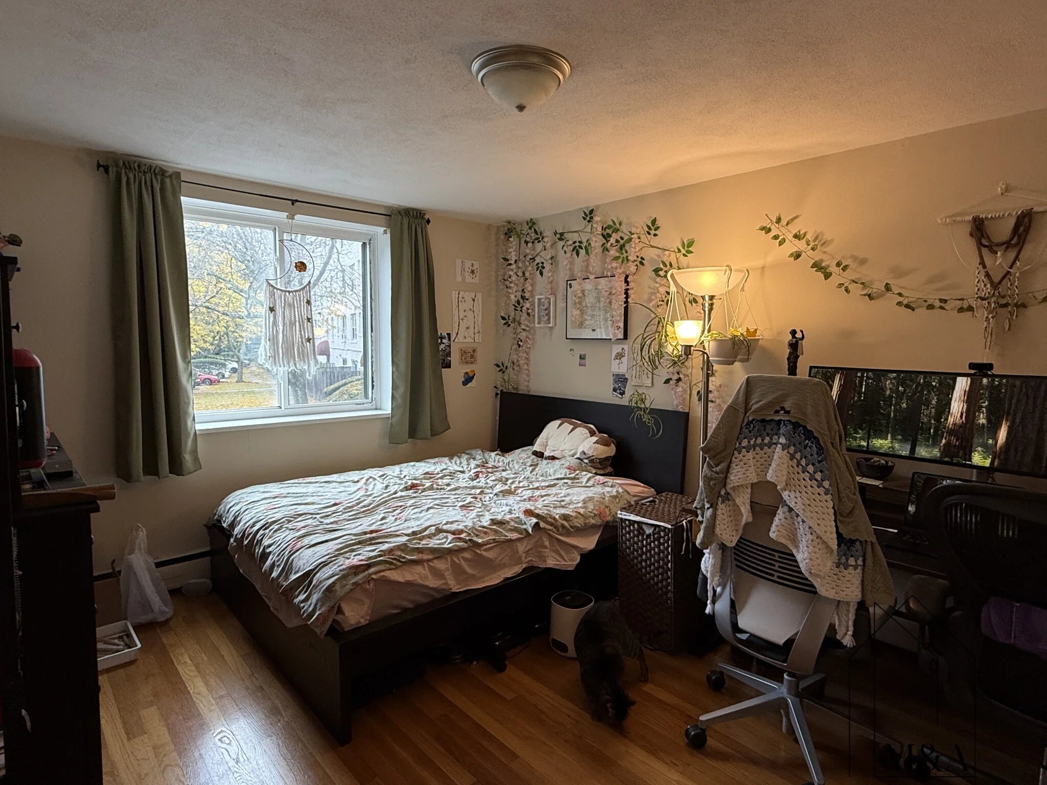 1 bed, 1 bath apartment for rent at 197 Kent St Unit 15, Brookline — photo 11 of 13