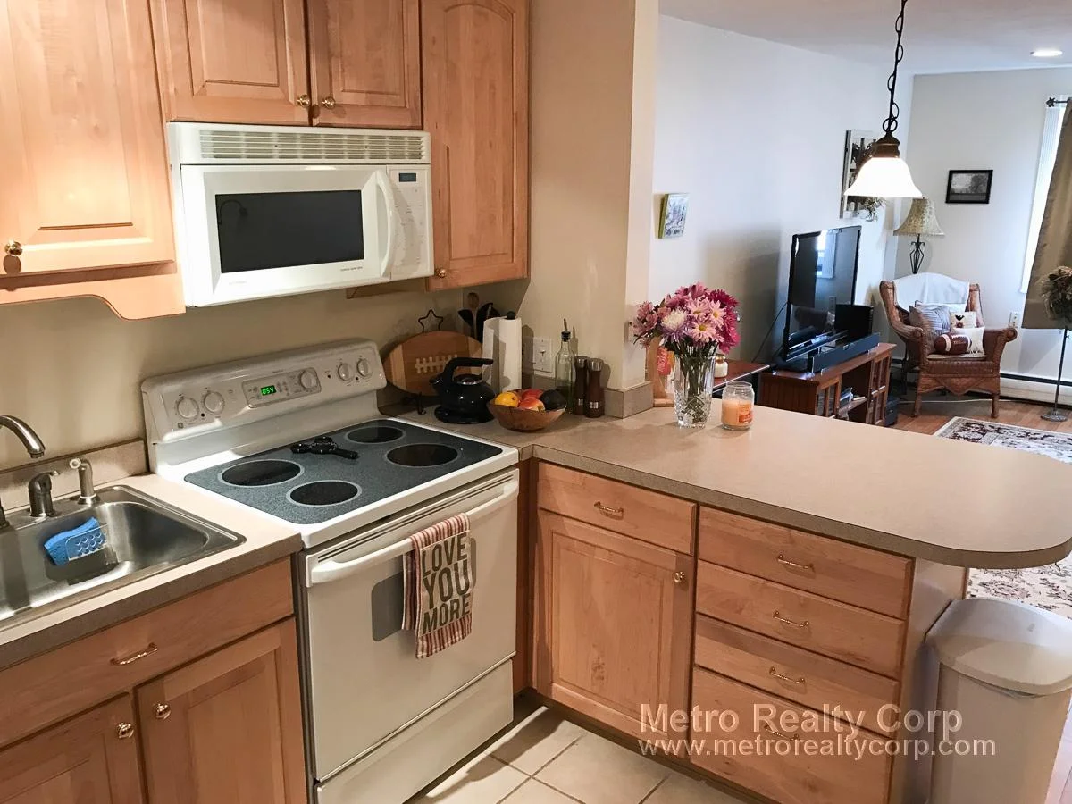 1 bed, 1 bath apartment for rent at 197 Kent Unit 44, Coolidge Corner — photo 2 of 13