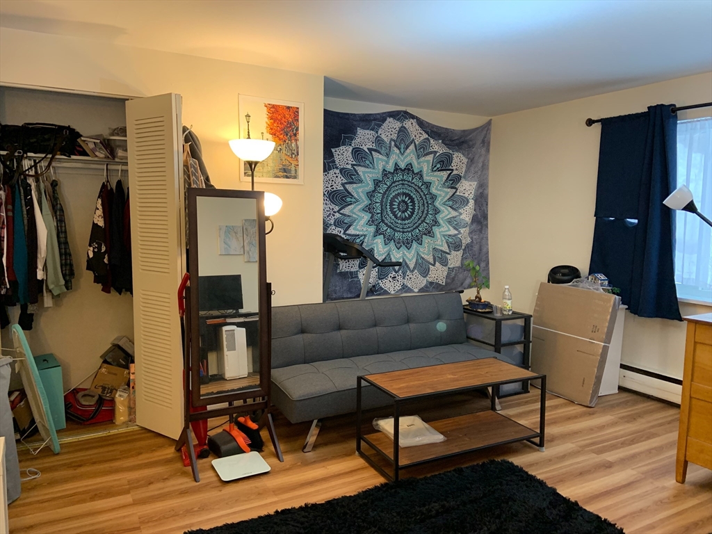 Studio bed, 1 bath apartment for rent at 197 Kent Unit B2, Brookline Village — photo 2 of 8