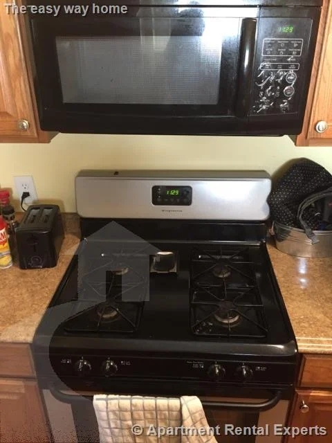 1 bed, 1 bath apartment for rent at 197A Elm St Unit 2, Davis Square — photo 3 of 9