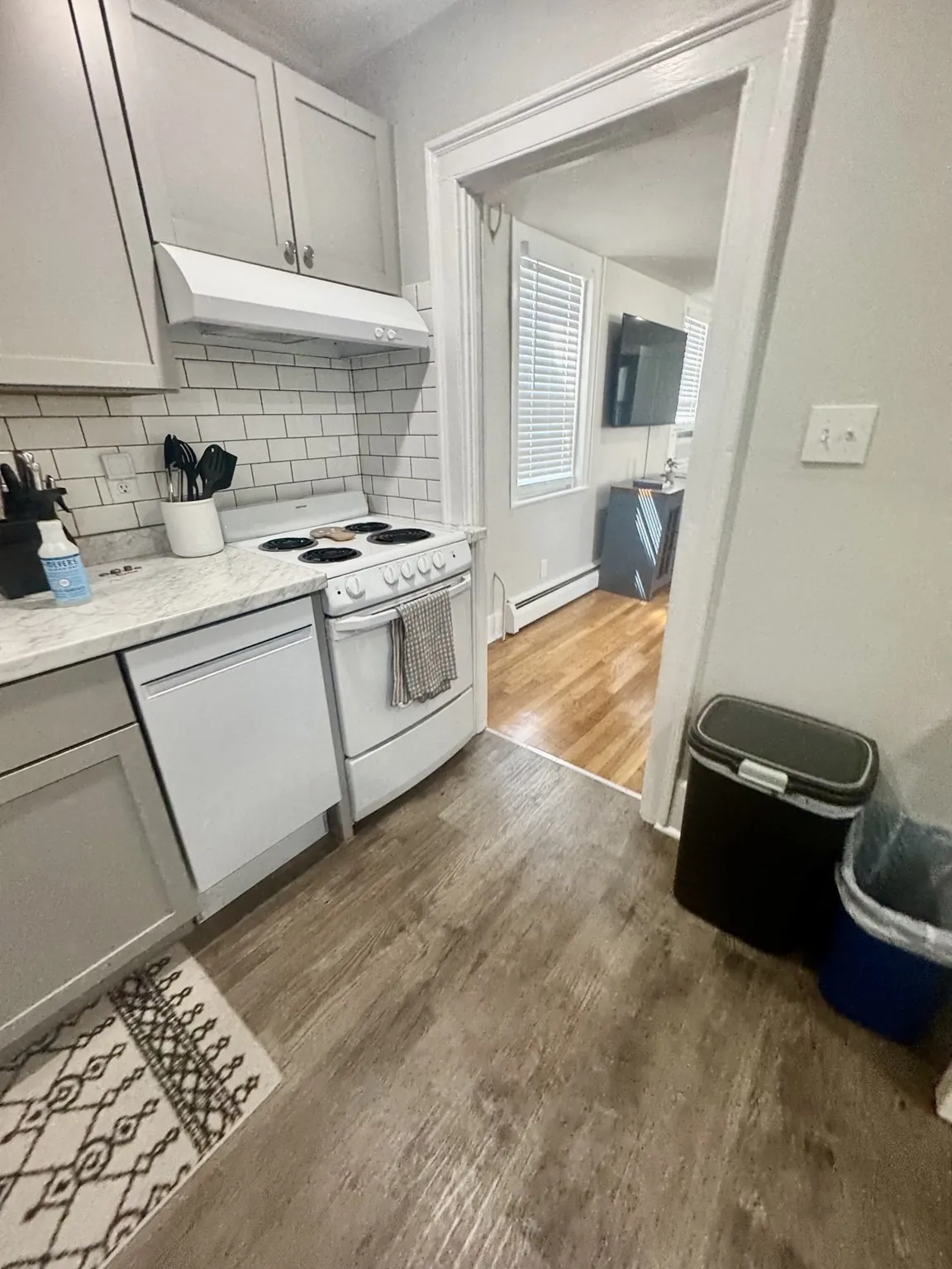 1 bed, 1 bath apartment for rent at 198 Main St Unit 1 North, East Fairhaven — photo 5 of 27