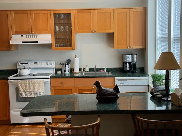 1 bed, 1 bath apartment for rent at 199 Marlborough St Unit 303, Back Bay — photo 7 of 13
