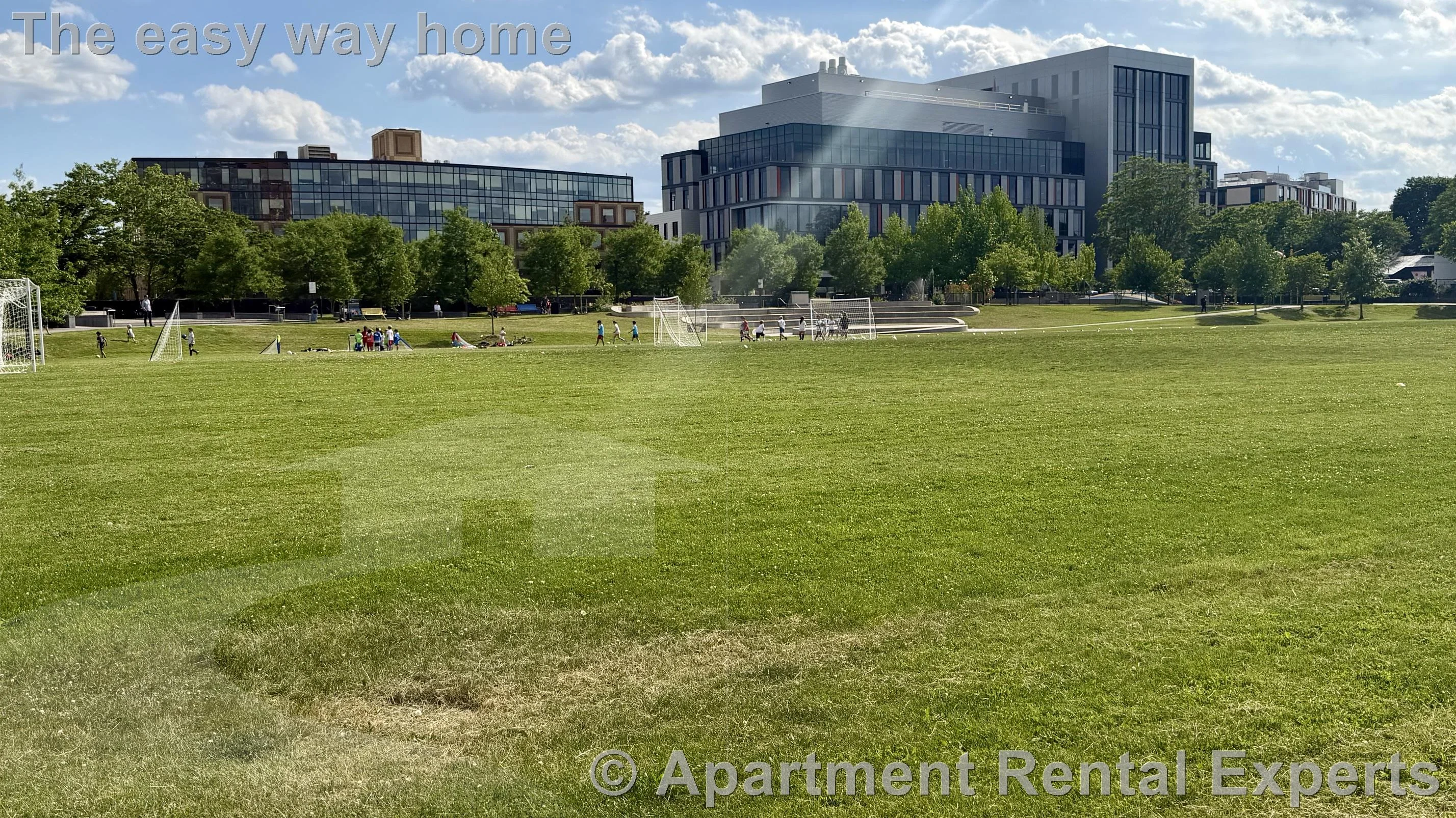 1 bed, 1 bath apartment for rent at 199 N Harvard St Unit N821, Allston — photo 18 of 22