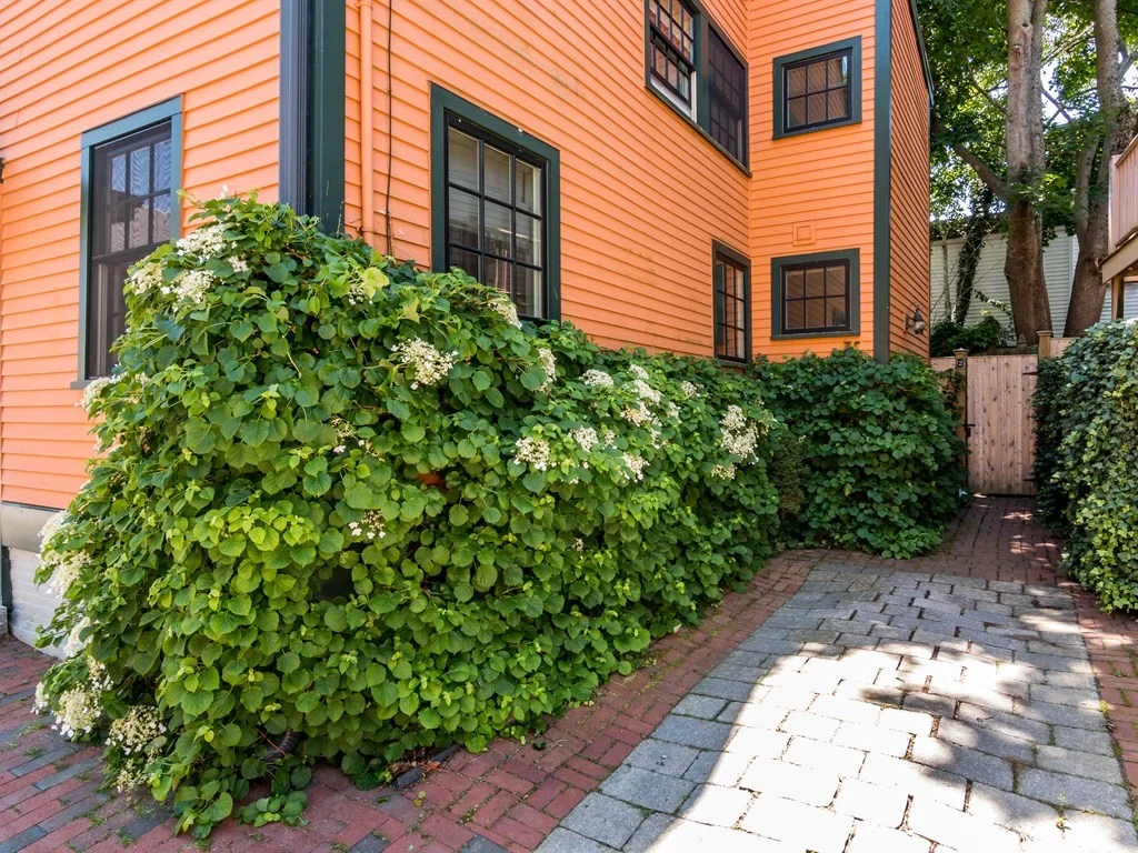 2 bed, 1 bath apartment for rent at 2 Atwood St, Newburyport — photo 22 of 35