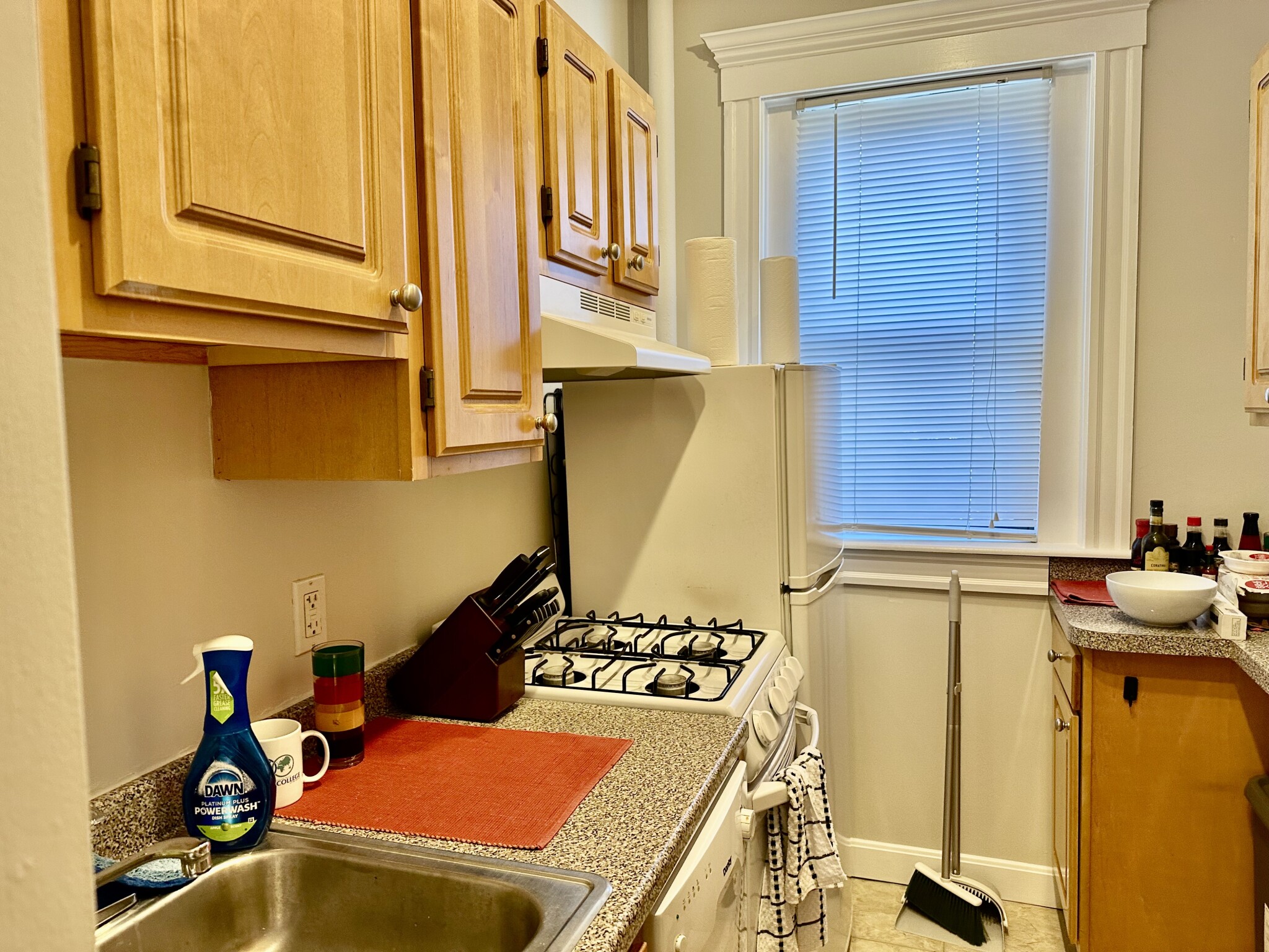 Studio bed, 1 bath apartment for rent at 2 Ayr Rd Unit 1, Brighton — photo 7 of 11
