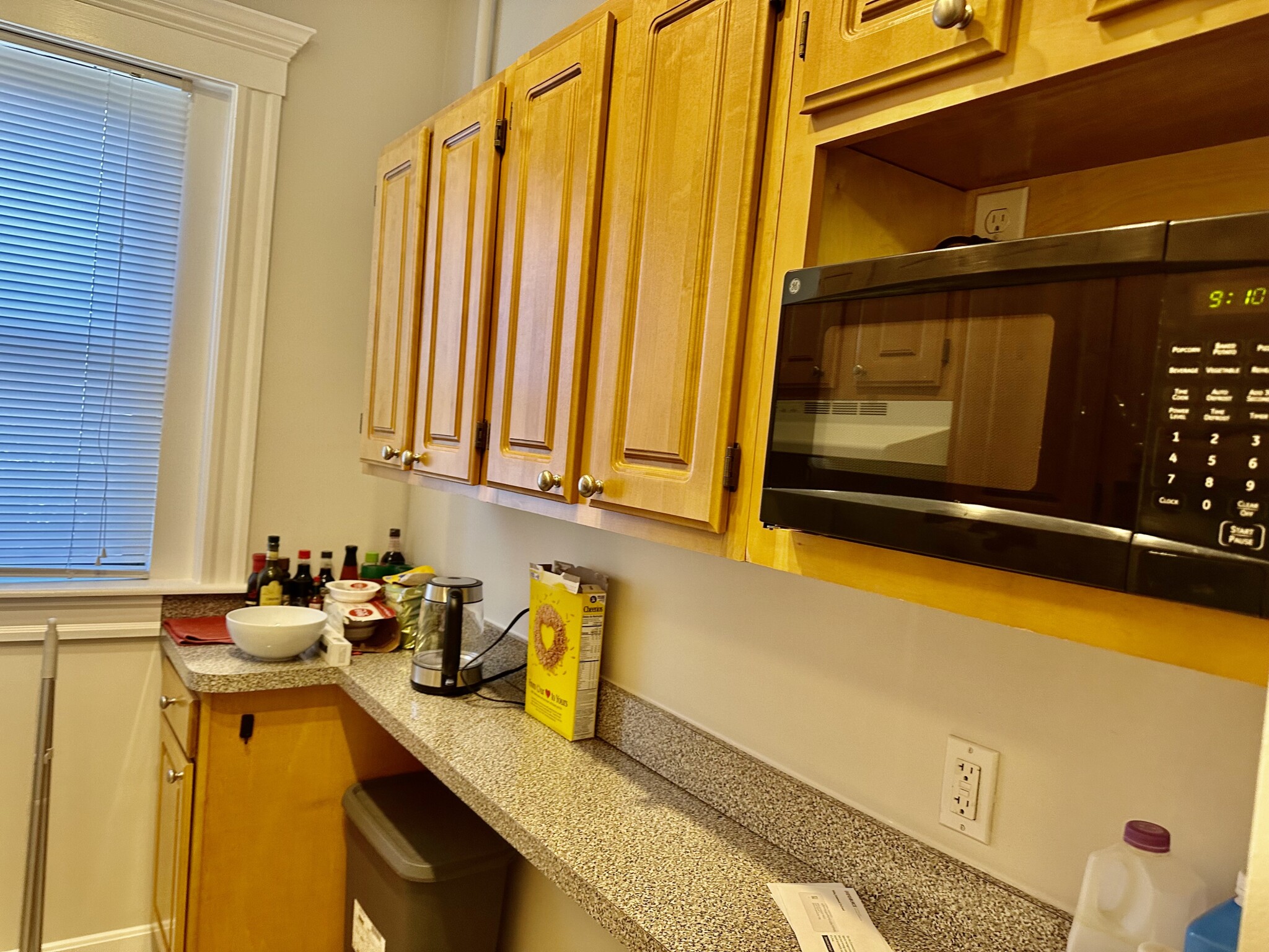 Studio bed, 1 bath apartment for rent at 2 Ayr Rd Unit 1, Brighton — photo 8 of 11