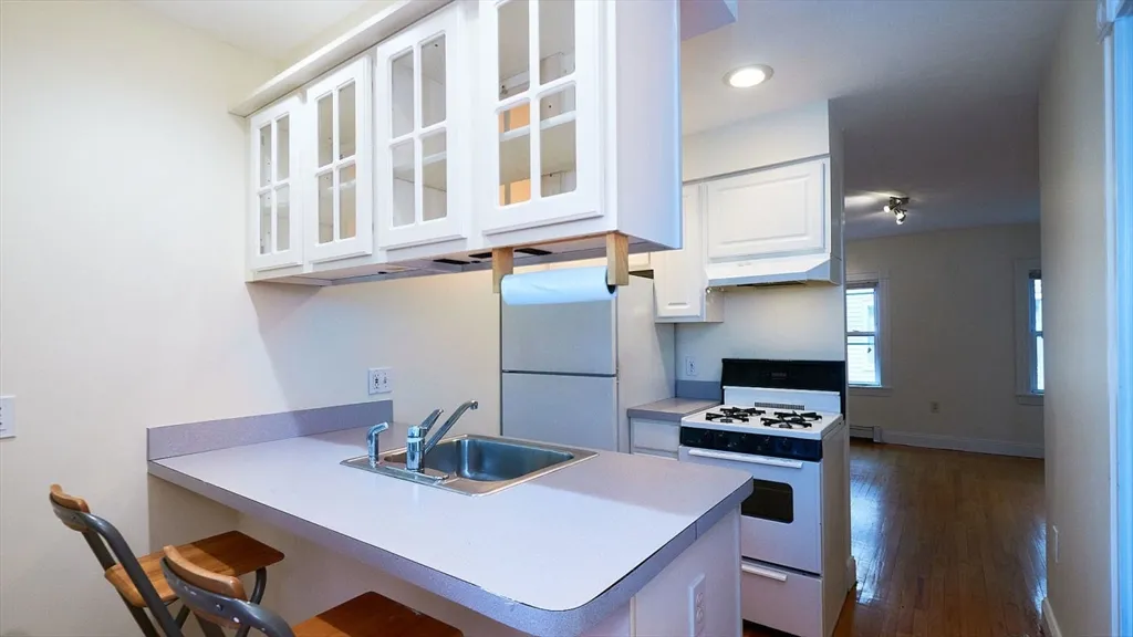 1 bed, 1 bath apartment for rent at 2 Bay State Pl Unit 1, South Boston — photo 3 of 12