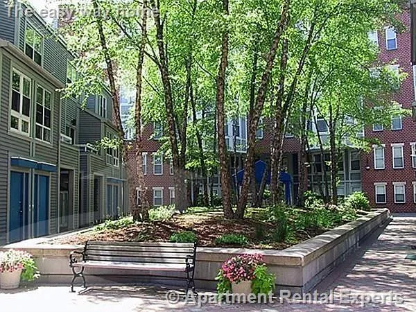 2 bed, 1 bath apartment for rent at 2 Chestnut St Unit 24, Cambridgeport — photo 13 of 14