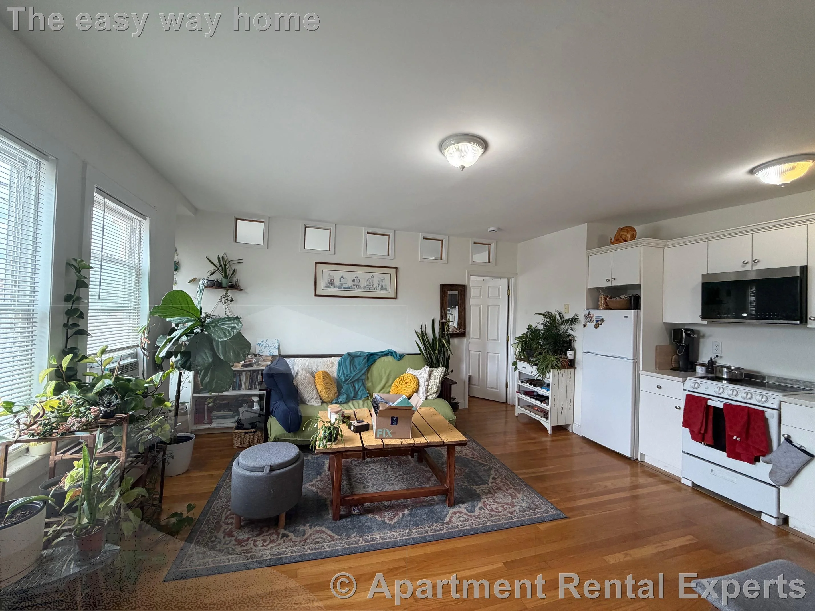1 bed, 1 bath apartment for rent at 2 Craigie St Unit 3, Porter Square — photo 3 of 6