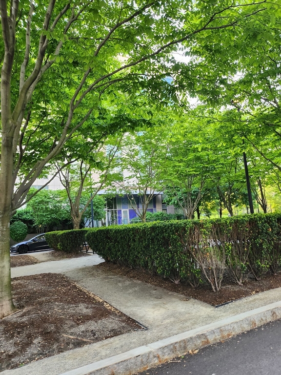 2 bed, 2 bath apartment for rent at 2 Earhart St Unit 811, East Cambridge — photo 5 of 16