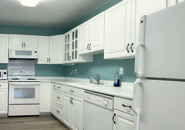 2 bed, 1 bath apartment for rent at 2 Hammond Pond Pkwy Unit 2, Chestnut Hill — photo 8 of 26