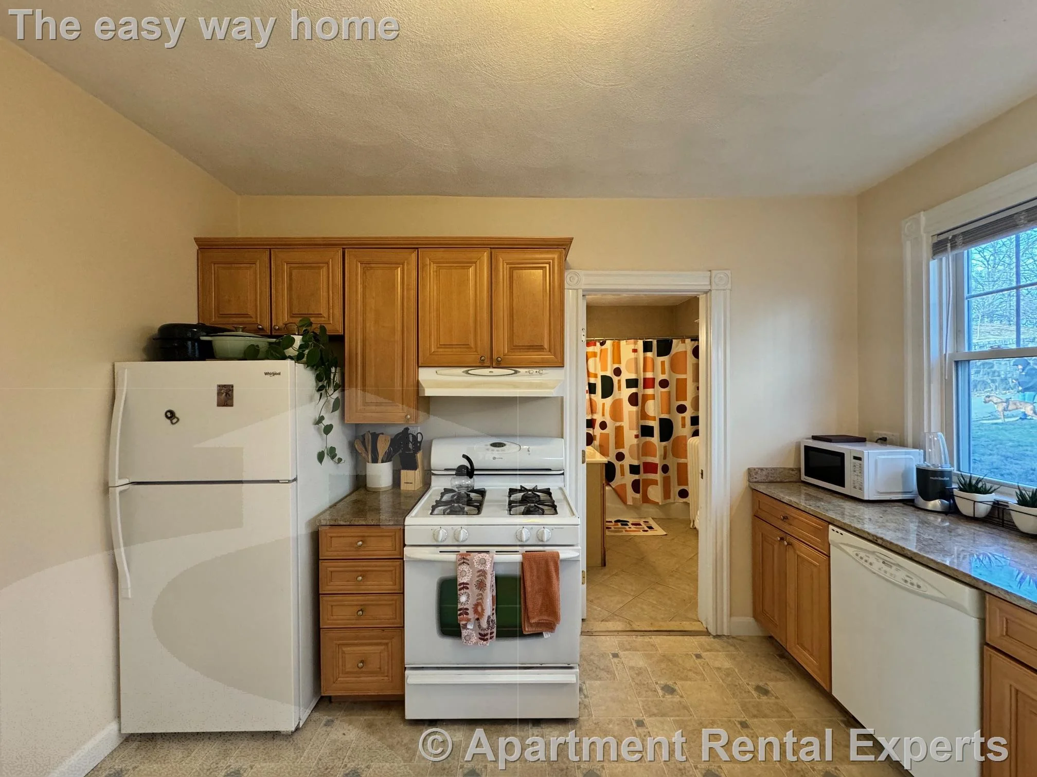 1 bed, 1 bath apartment for rent at 2 Laurel St Unit 1, West Medford — photo 11 of 12