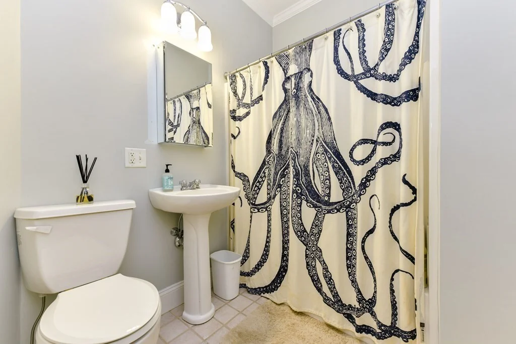 2 bed, 2 bath apartment for rent at 2 Monks St Unit 1, South Boston — photo 7 of 17