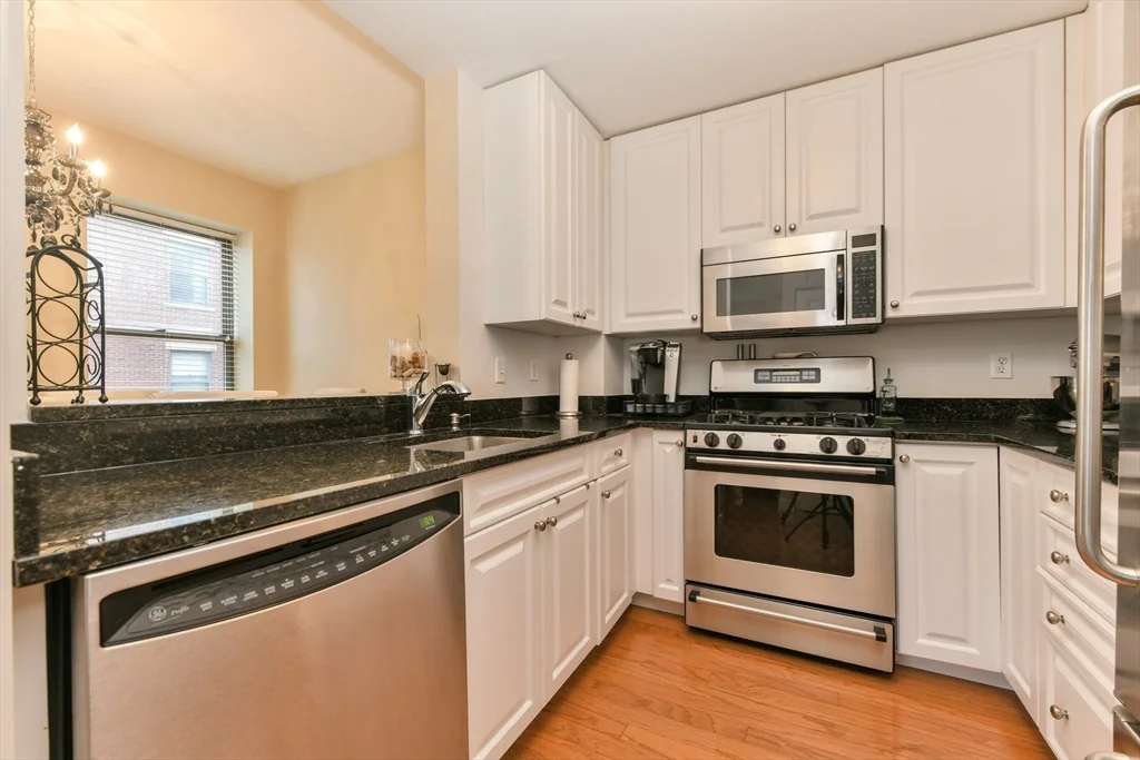 2 bed, 2 bath apartment for rent at 2 Rollins St Unit D-401, South End — photo 6 of 17