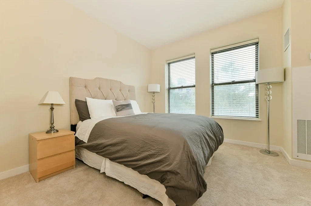 2 bed, 2 bath apartment for rent at 2 Rollins St Unit D-401, South End — photo 10 of 17