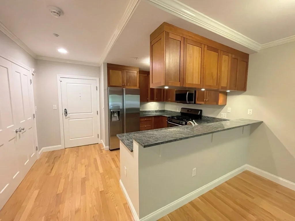 2 bed, 2 bath apartment for rent at 2 Saint Paul Unit 105, Coolidge Corner — photo 7 of 14