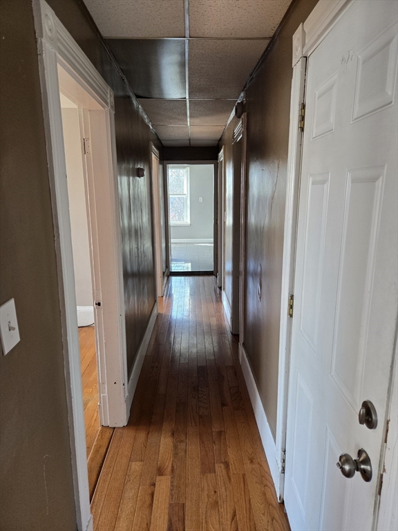 2 bed, 1 bath apartment for rent at 2 Saxton St Unit 2, Dorchester — photo 15 of 18
