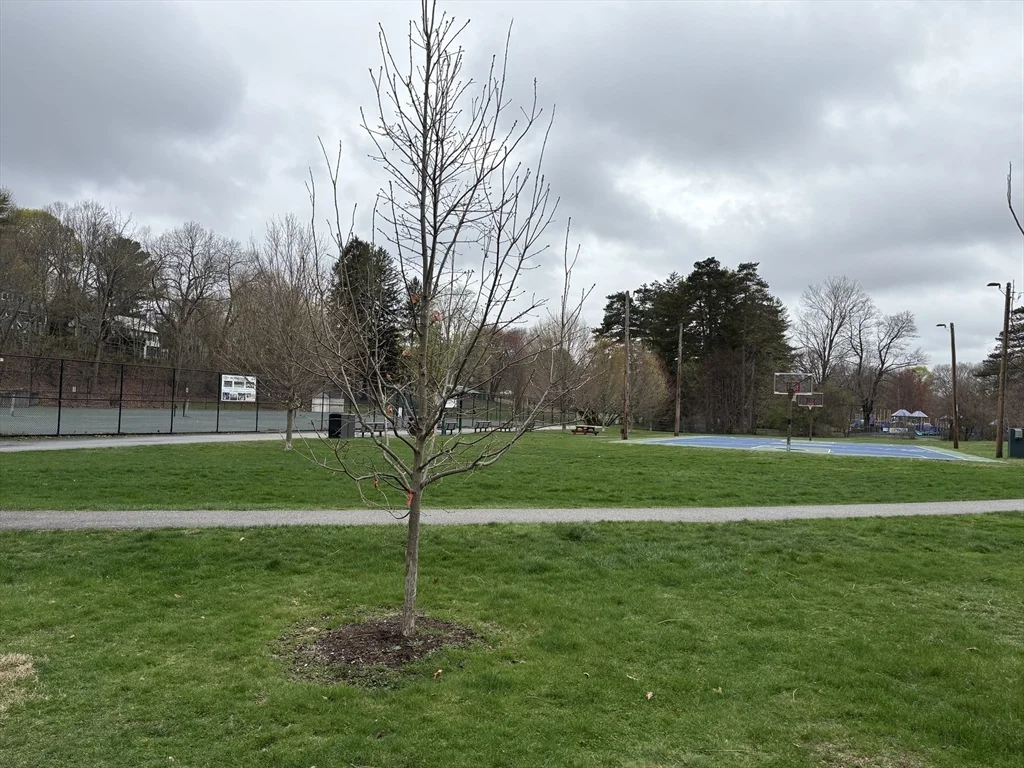 2 bed, 1 bath apartment for rent at 2 Willow Ter Unit 1, Newton — photo 34 of 35