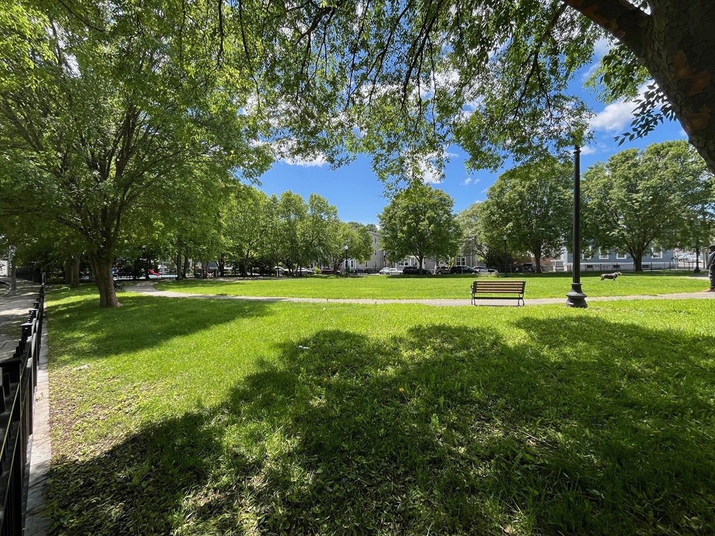 1 bed, 1 bath apartment for rent at 2 Woodville Park Unit 2, Roxbury — photo 20 of 23
