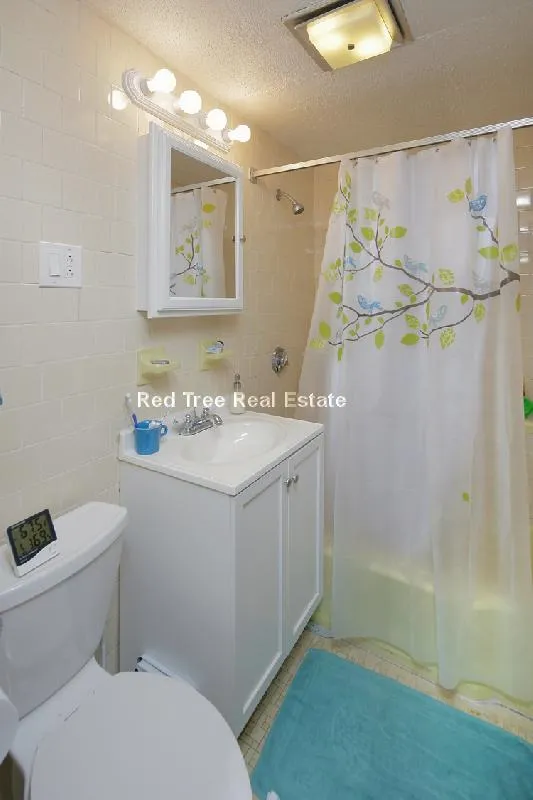 1 bed, 1 bath apartment for rent at 20 Armington St Unit 21, Brighton — photo 5 of 15