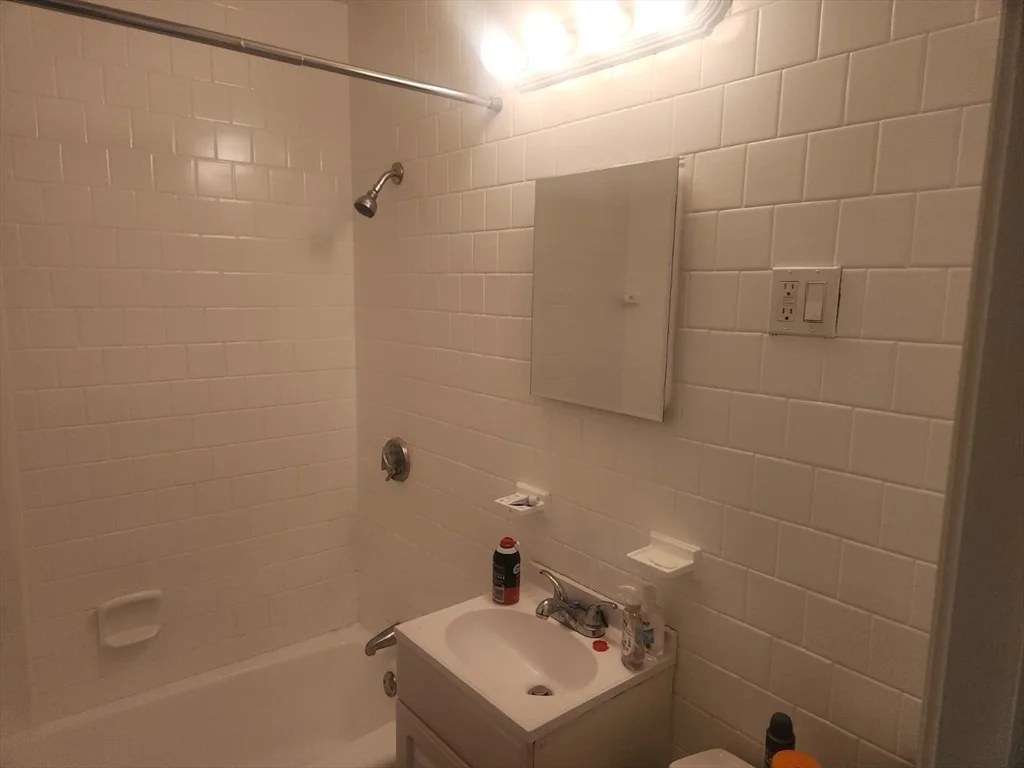 1 bed, 1 bath apartment for rent at 20 Armington St Unit B23, Brighton — photo 2 of 7